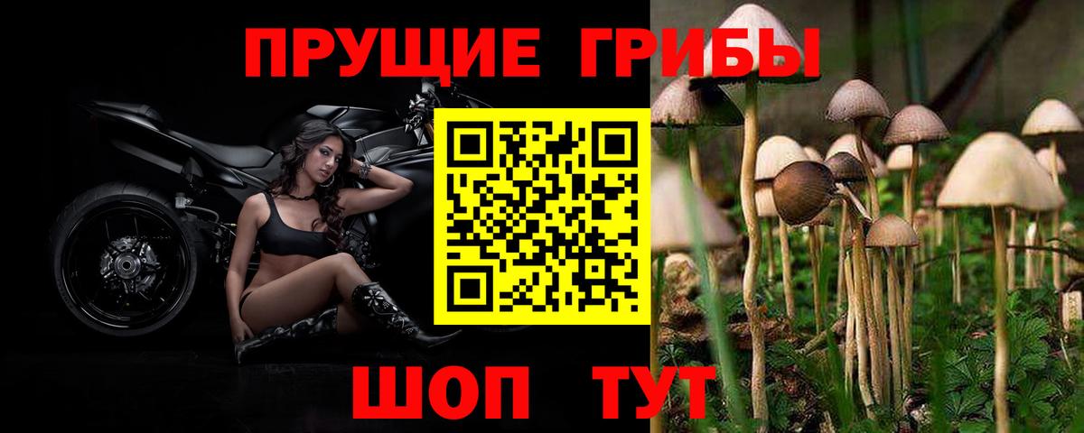Галлюциногенные грибы Cubensis  Вход с VPN  Аксай 